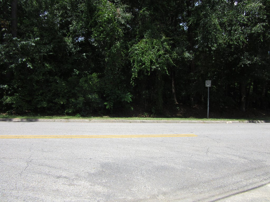 0 Rocky Branch Road Dothan, AL 36303 - Photo 5 of 5