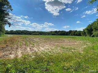0 Xxx Lrc Road Waterloo, IL 62298 - Photo 1 of 6