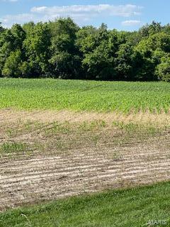 0 Xxx Lrc Road Waterloo, IL 62298 - Photo 2 of 6