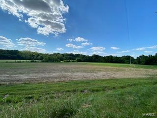 0 Xxx Lrc Road Waterloo, IL 62298 - Photo 3 of 6