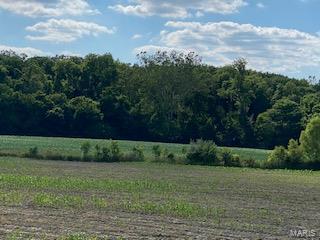 0 Xxx Lrc Road Waterloo, IL 62298 - Photo 4 of 6