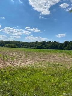 0 Xxx Lrc Road Waterloo, IL 62298 - Photo 5 of 6