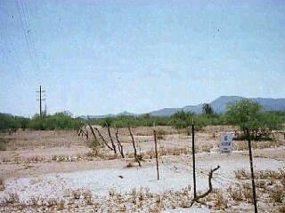 13800 West Orange Grove Road Chandler, AZ 85225 - Photo 4 of 5