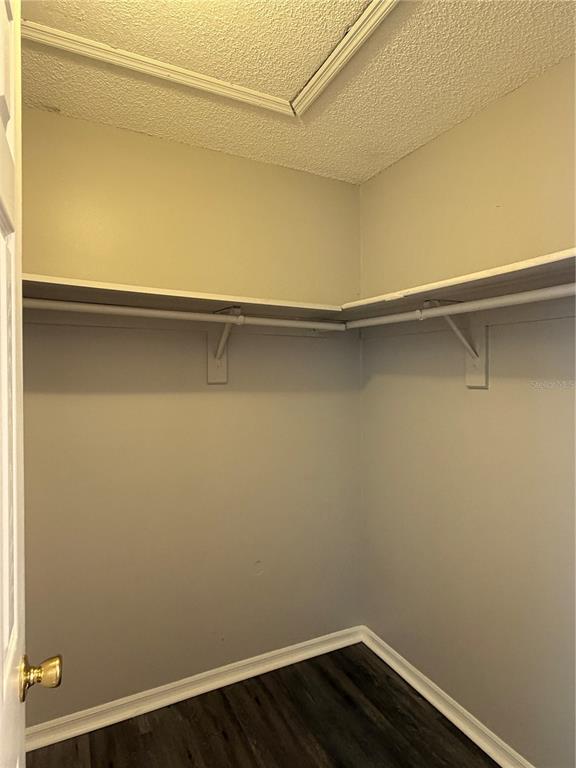 1215 Ravida Circle Orlando, FL 32825 - Photo 19 of 22 a close up view of racks on the wall