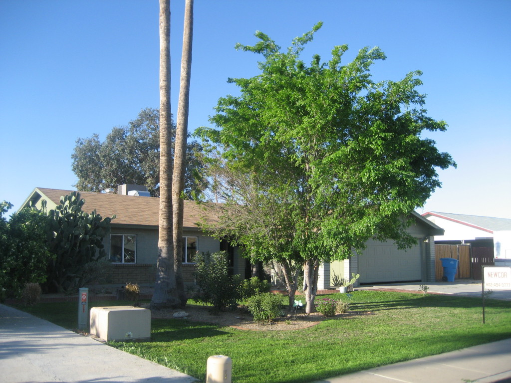 1201 West Utopia Road Phoenix, AZ 85027 - Photo 2 of 5 2