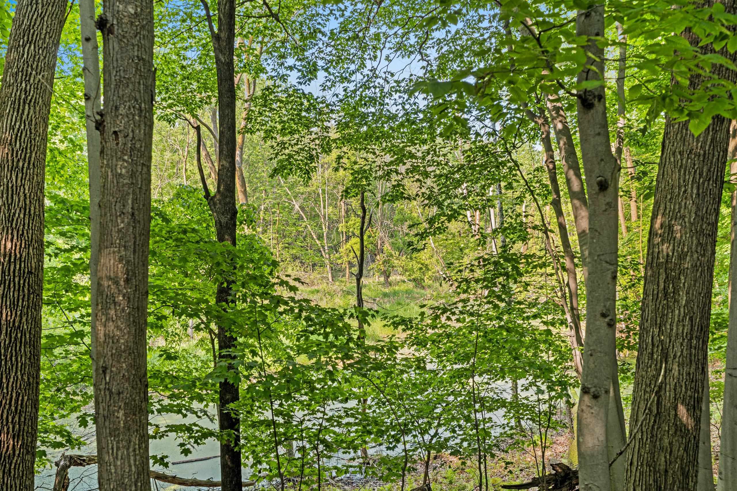 4331 Pittco Road Green Bay, WI 54313 - Photo 64 of 86