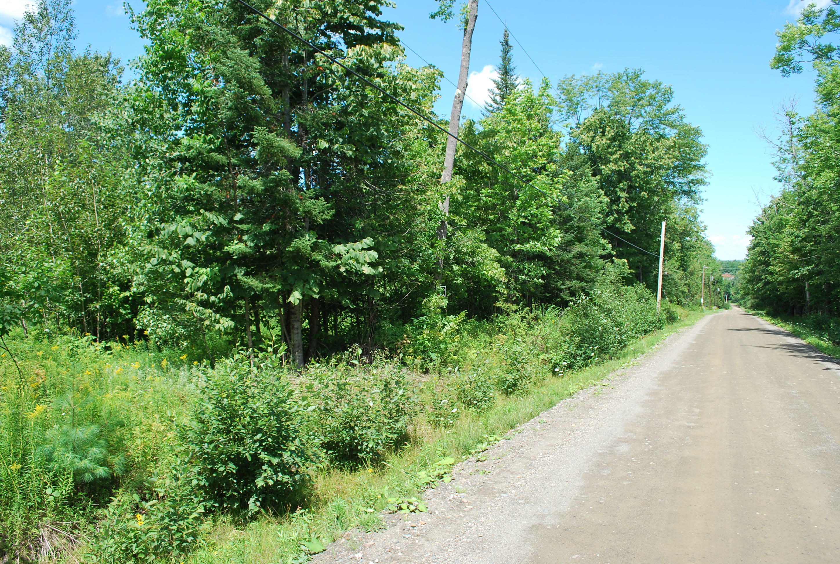 Lot 8-2 Millet Road Garland, ME 04939 - Photo 3 of 6 Millet Road Garland 012