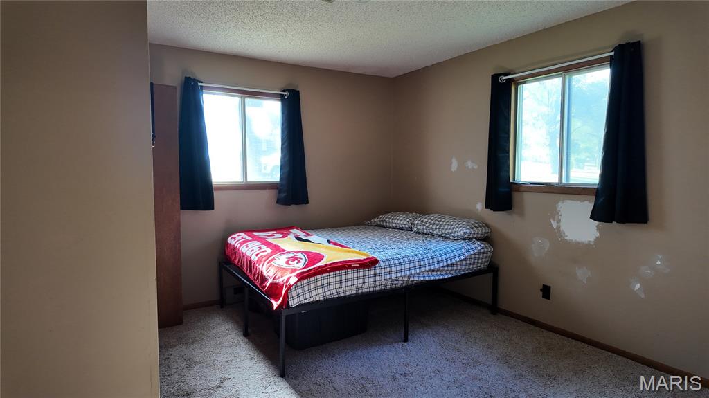 301 Roberts Street Iberia, MO 65486 - Photo 12 of 27