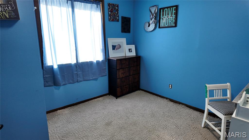 301 Roberts Street Iberia, MO 65486 - Photo 18 of 27