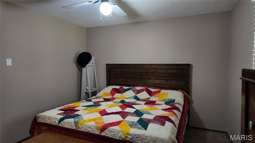 301 Roberts Street Iberia, MO 65486 - Photo 19 of 27