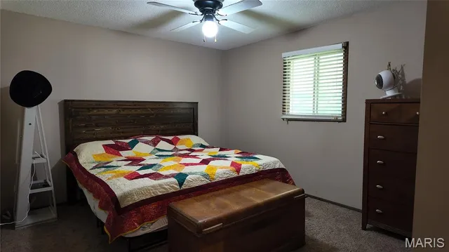 $208,500 | 301 Roberts Street, Iberia, MO 65486