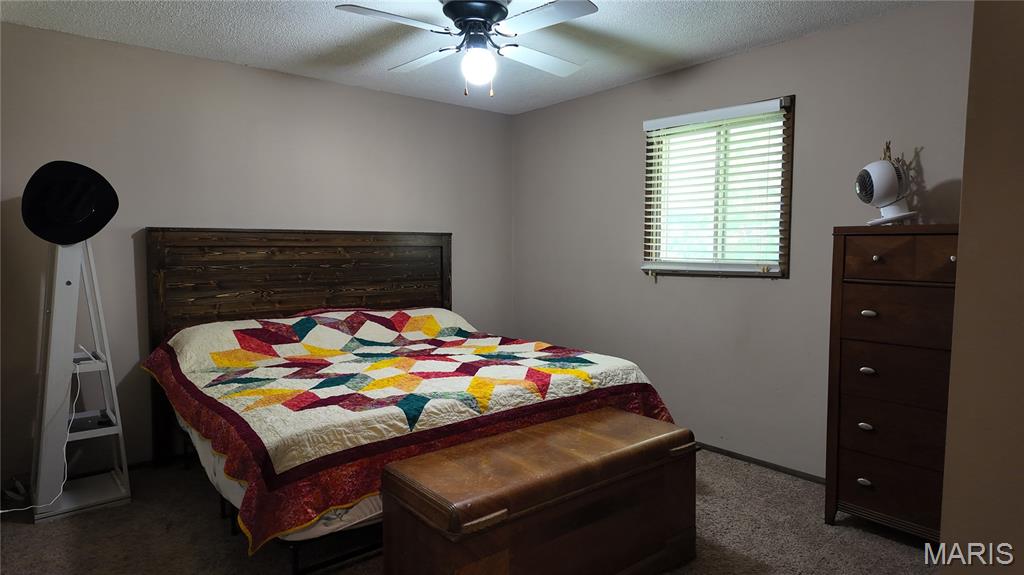 301 Roberts Street Iberia, MO 65486 - Photo 20 of 27