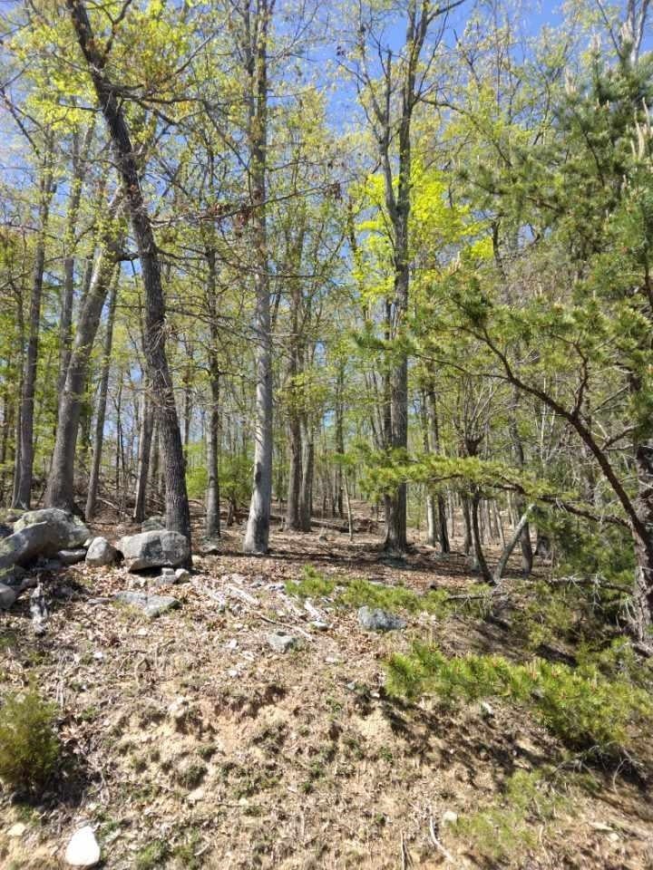 Lot 62 Rhea Ridge Drive Blacksburg, VA 24060 - Photo 3 of 9 Gallery Image 3