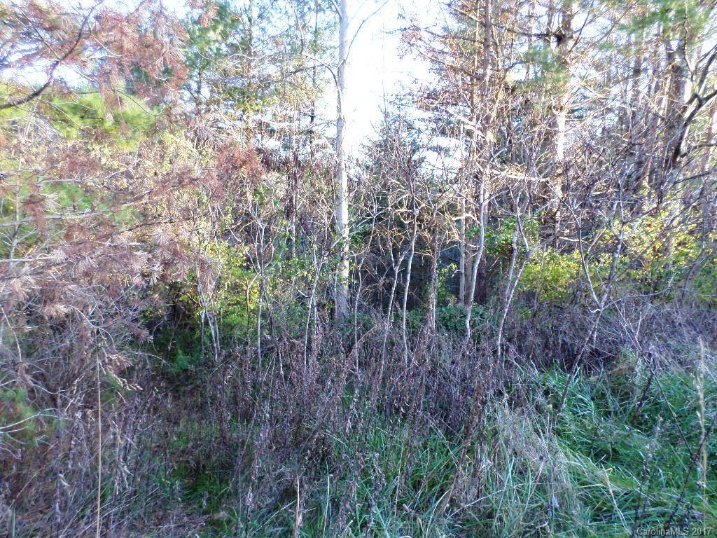 5 Mountain Mission Road, Unit 5 Clyde, NC 28721 - Photo 11 of 17