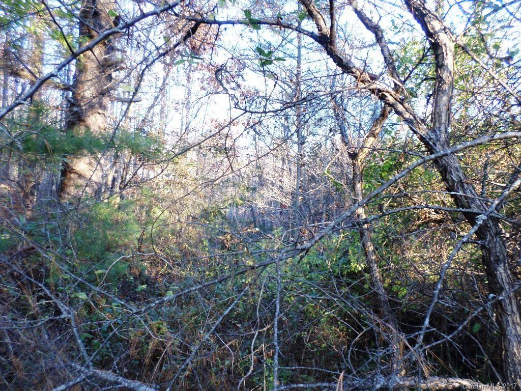 5 Mountain Mission Road, Unit 5 Clyde, NC 28721 - Photo 12 of 17