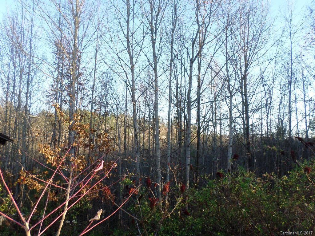 5 Mountain Mission Road, Unit 5 Clyde, NC 28721 - Photo 15 of 17