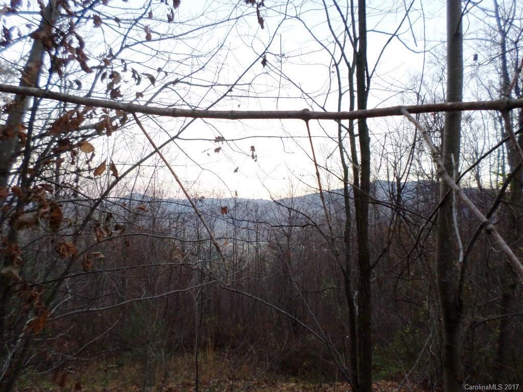 5 Mountain Mission Road, Unit 5 Clyde, NC 28721 - Photo 16 of 17