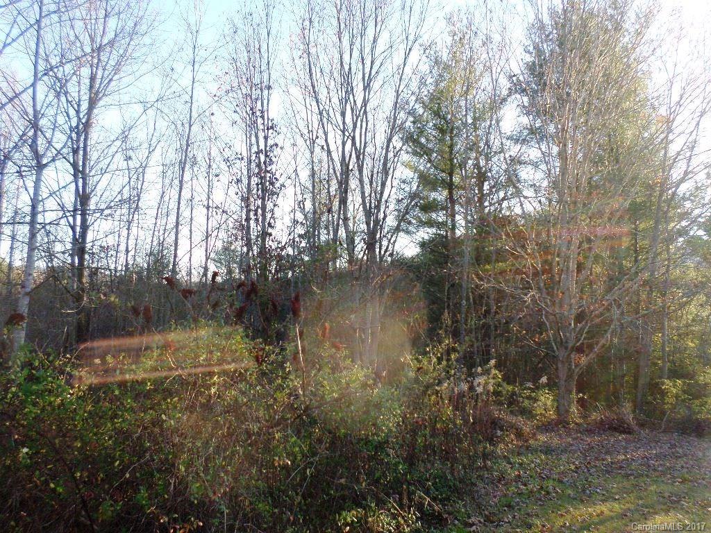 5 Mountain Mission Road, Unit 5 Clyde, NC 28721 - Photo 3 of 17