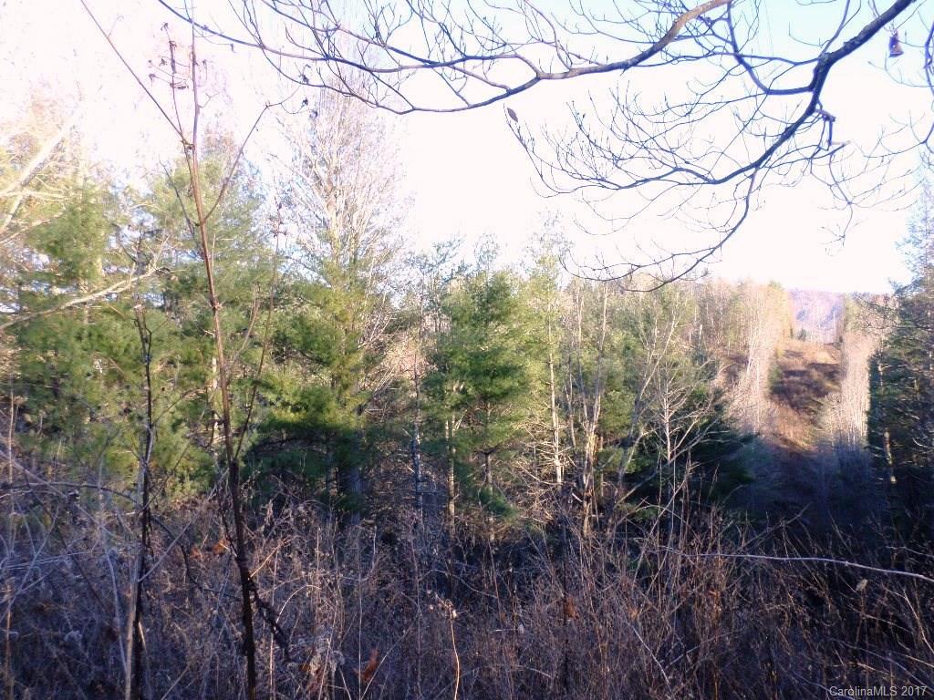 5 Mountain Mission Road, Unit 5 Clyde, NC 28721 - Photo 4 of 17