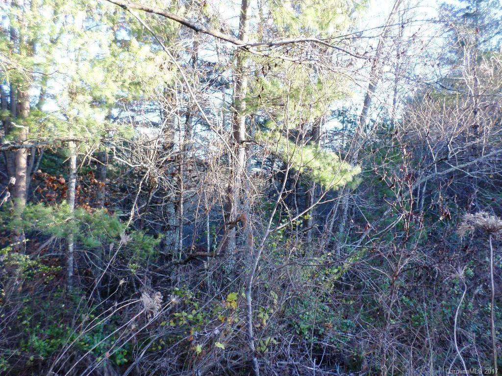 5 Mountain Mission Road, Unit 5 Clyde, NC 28721 - Photo 7 of 17