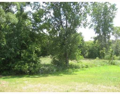 6840 Maple Rives Junction, MI 49277 - Photo 5 of 6 Photo 5