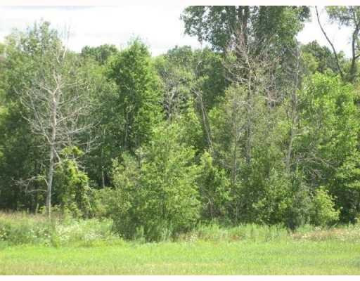 6840 Maple Rives Junction, MI 49277 - Photo 6 of 6 Photo 6