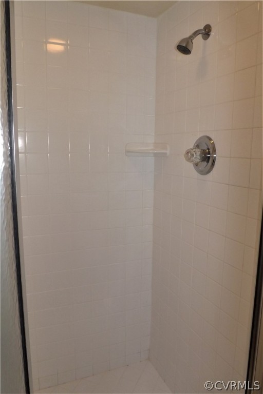 13104 Middlebrook Road Chester, VA 23831 - Photo 16 of 22 Lower Level Shower