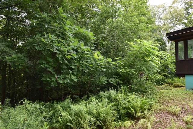 $399,000 | 26 Woodland Drive, Barre, VT 05641