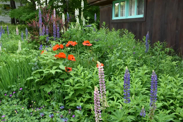 $399,000 | 26 Woodland Drive, Barre, VT 05641