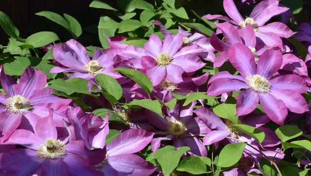 $399,000 | 26 Woodland Drive, Barre, VT 05641