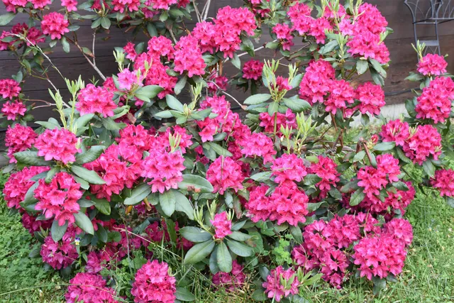 $399,000 | 26 Woodland Drive, Barre, VT 05641