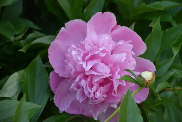 $399,000 | 26 Woodland Drive, Barre, VT 05641