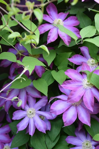 $399,000 | 26 Woodland Drive, Barre, VT 05641