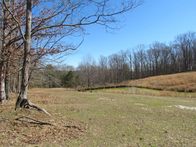 170 Edminster Road Sequatchie, TN 37374 - Photo 58 of 61 170 Edmister 020