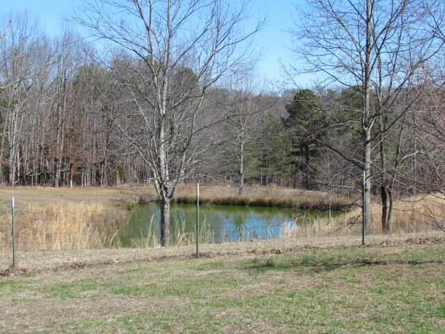 170 Edminster Road Sequatchie, TN 37374 - Photo 8 of 61 170 Edmister Rd 031