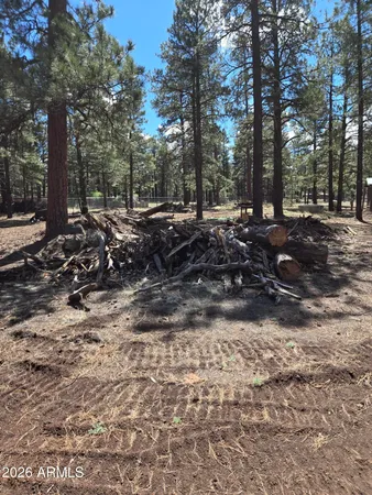 $1,100,000 | 6612 Lynx Lane, Flagstaff, AZ 86004