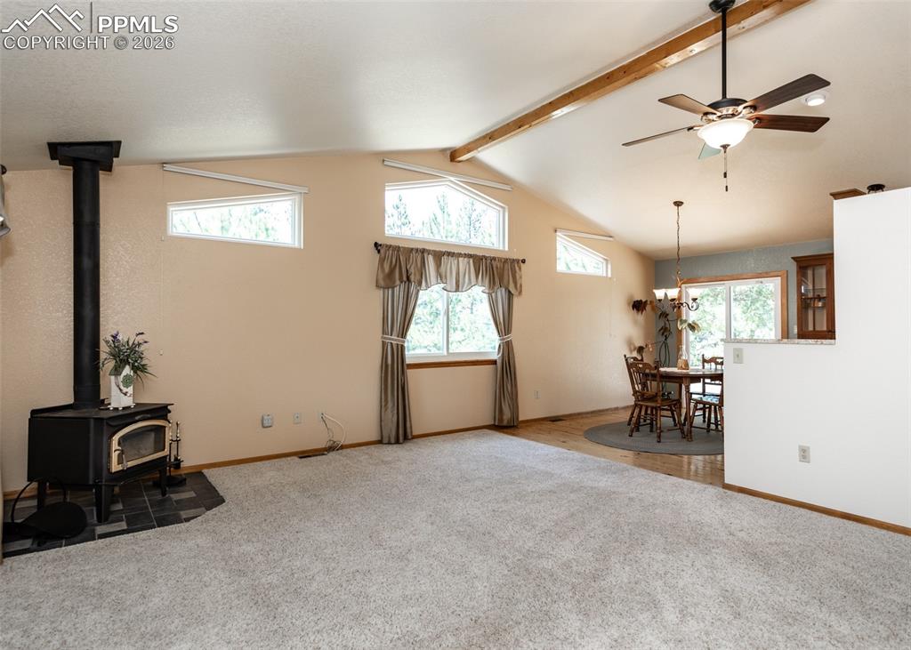 2602 Southpark Road Florissant, CO 80816 - Photo 15 of 50 The wood burning stove warms you in the cooler weather and the abundant windows let in tons of Colorado sunshine