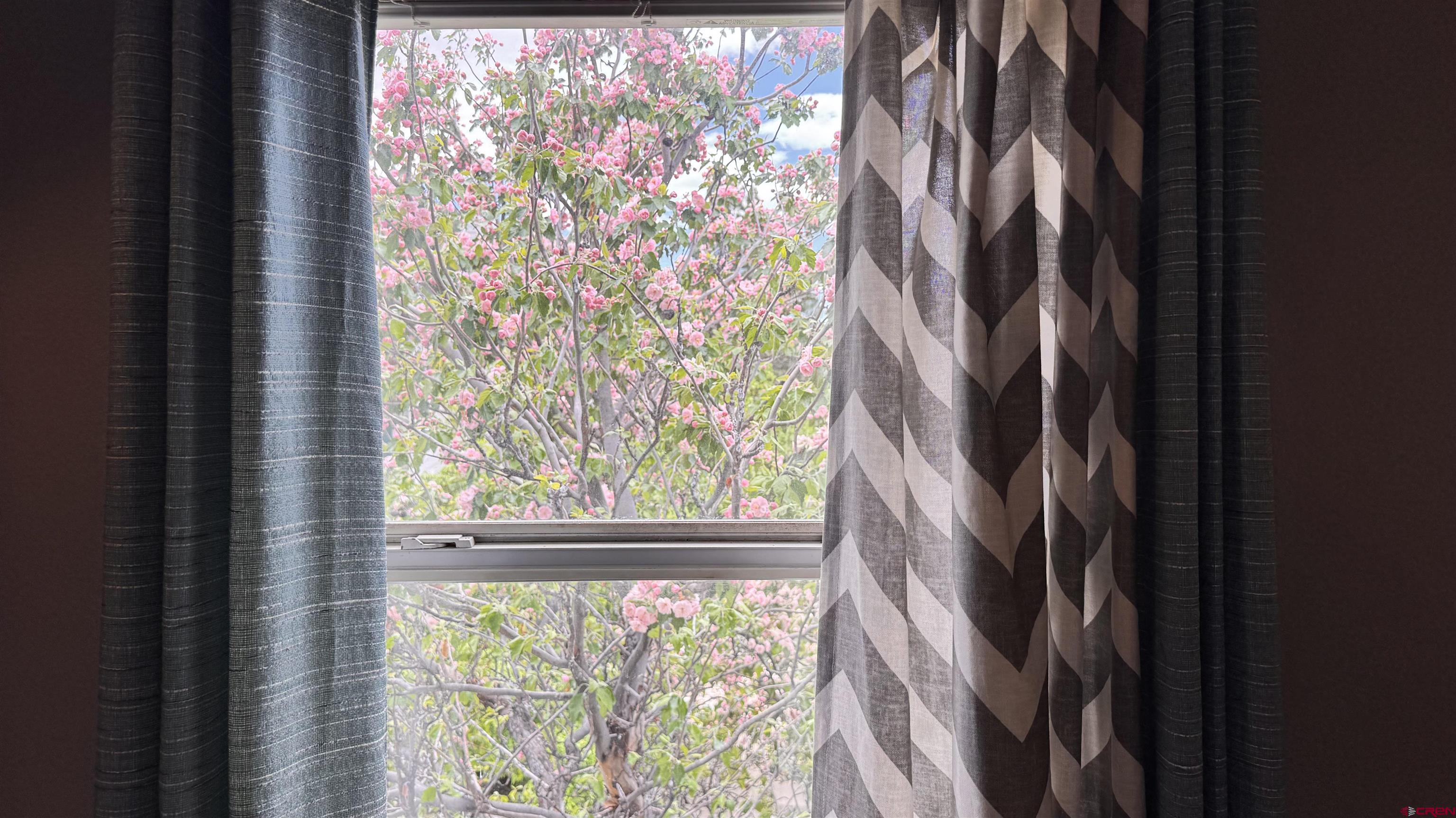 1100 Goeglein Gulch Road, Unit 204 Durango, CO 81301 - Photo 20 of 42 a view of a window