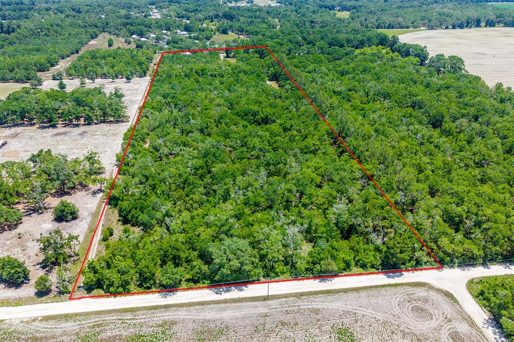 Tbd Northwest 40th Avenue Bell, FL 32619 - Photo 1 of 4