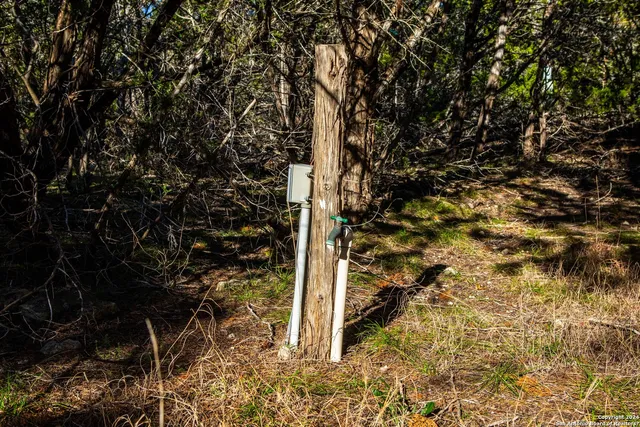 a view of a tree with a yard