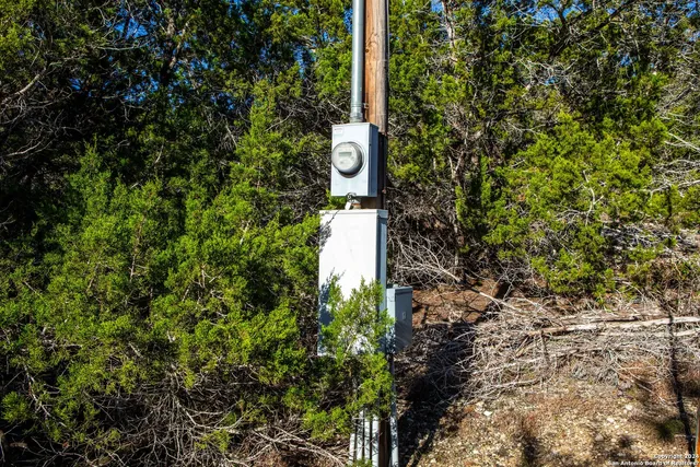a view of a plants with yard