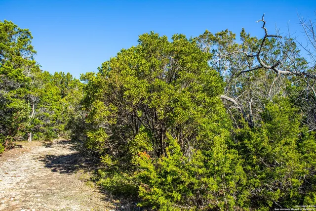 a view of a large yard with lots of bushes