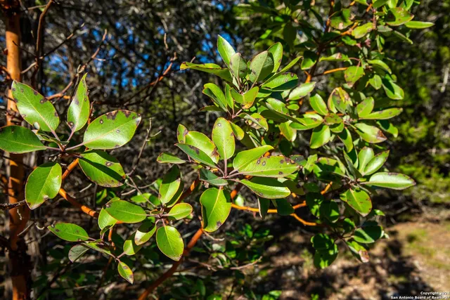 a view of a large mountain