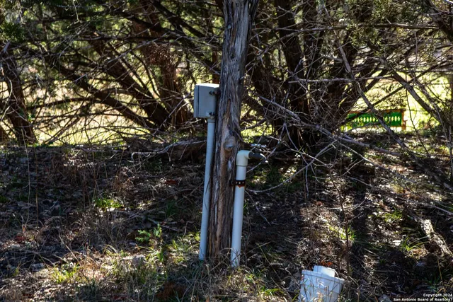 a backyard of a house with lots of green space and trees all around