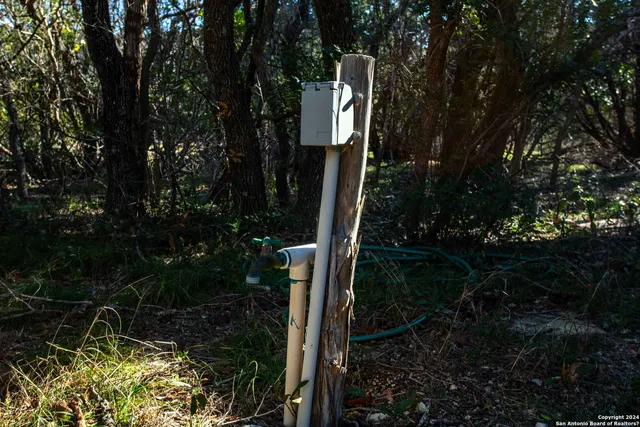 a view of a lush green forest with lots of trees