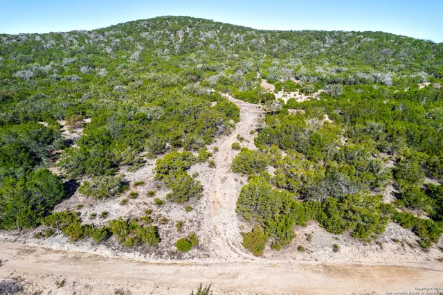 a view of a field with a tree