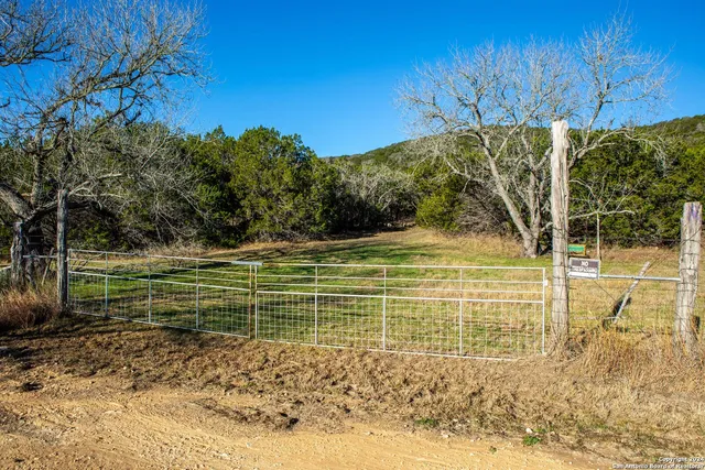 a view of house with a yard
