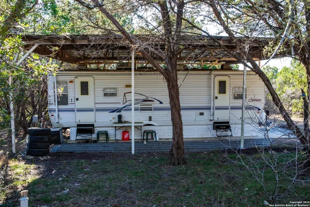 a view of a backyard with large trees and plants