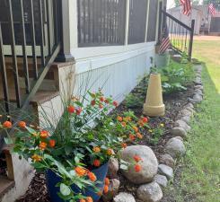 2945 County Road 4 Southwest, Unit 321 Cokato, MN 55321 - Photo 55 of 59