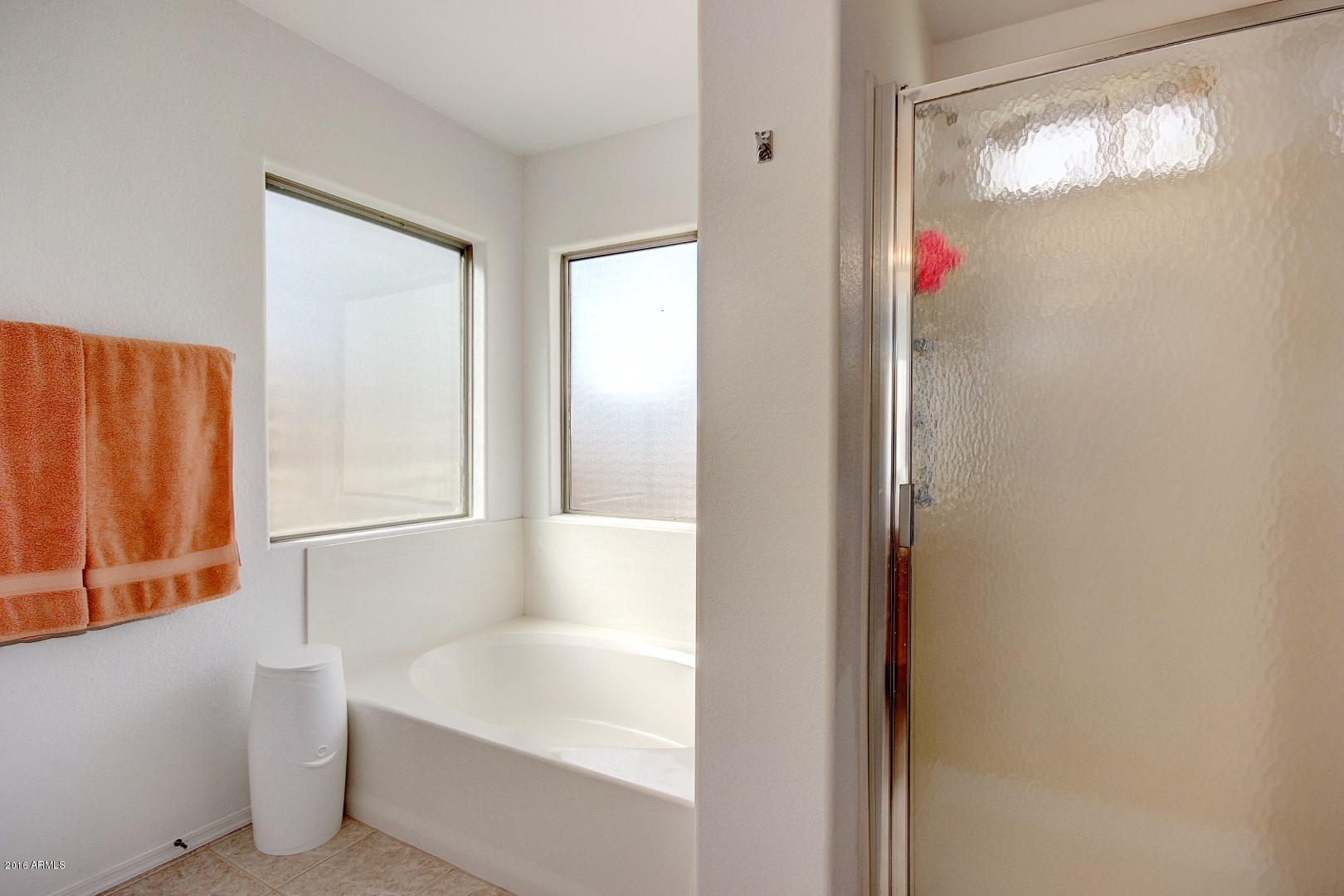 6542 West Briles Road Phoenix, AZ 85083 - Photo 16 of 25 Master Bath